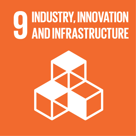SDG 9 logo: Industry, Innovation and Infrastructure.