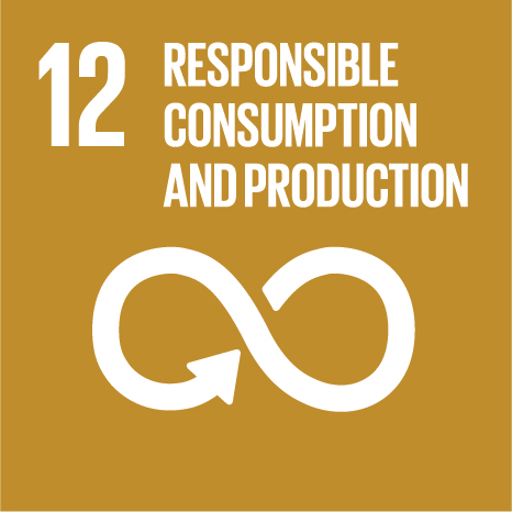 SDG 12 logo: Responsible consumption and production