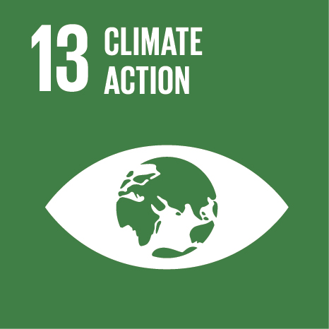 SDG 13 logo: Climate ction