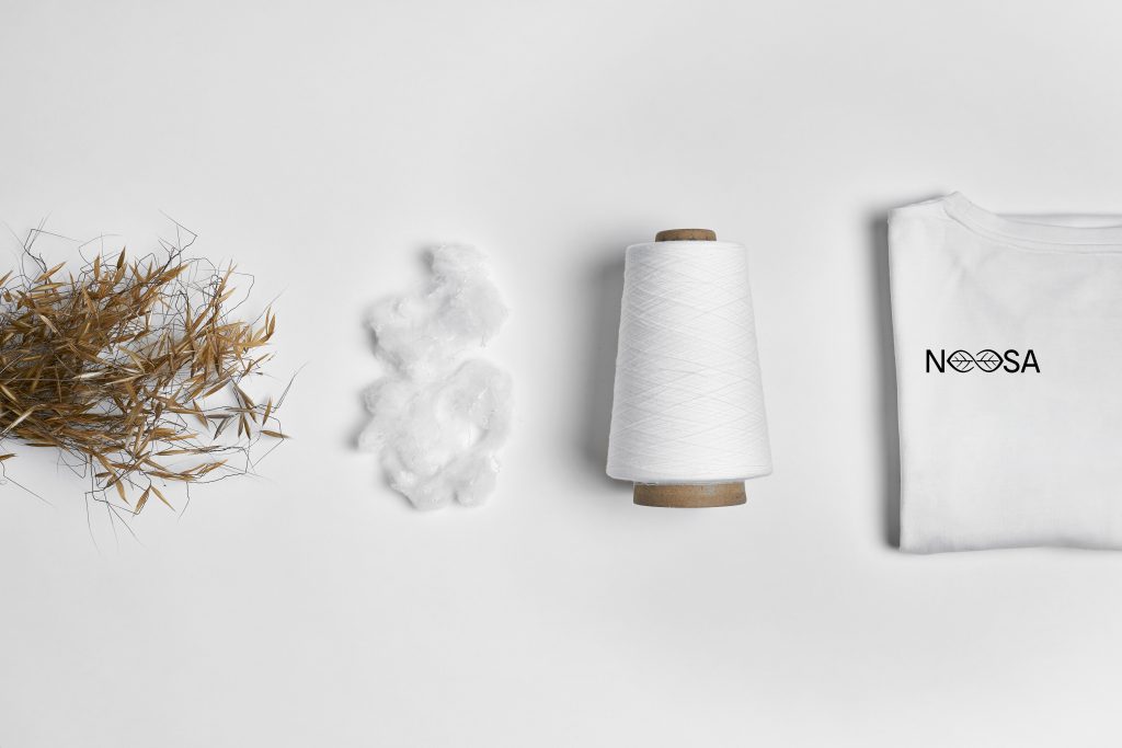 Objects showing the process of NOOSA from the plant, to fiber, to yarn, to t-shirt.